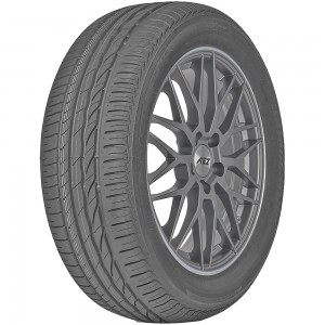 Bridgestone Turanza ER300 225/55R16 95W MO