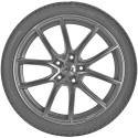 opona do samochodów osobowych Pirelli P ZERO w rozmiarze 255/30R21 93Y - widok z profilu