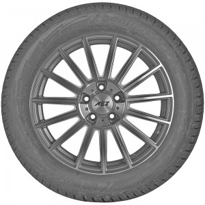 opona zimowa Goodyear ULTRAGRIP PERFORMANCE G1 w rozmiarze 205/55R17 z indeksem nośności 91 i prędkości H