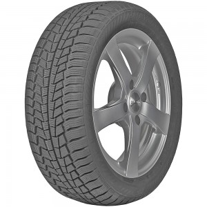 Gislaved Euro*Frost 6 205/55R16 91H 3PMSF