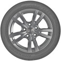 opona letnia Goodyear EFFICIENTGRIP PERFORMANCE w rozmiarze 195/55R16 z indeksem nośności 91 i prędkości V