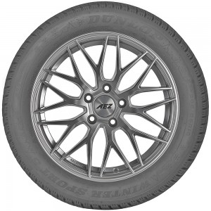 opona osobowa Dunlop WINTER SPORT 5 w rozmiarze 255/40R20 z indeksem nośności 101 i prędkości W