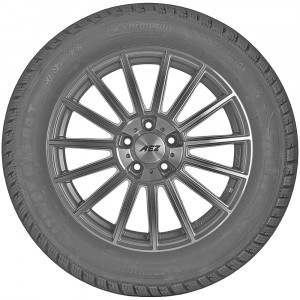 opona do samochodów osobowych Riken SNOW w rozmiarze 215/60R16 99H - widok z profilu