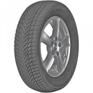 Nexen Winguard Sport 2 SUV 235/55R18 104H XL