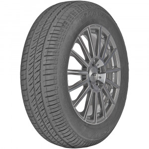 Sava Perfecta 155/65R14 75T