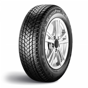 GT Radial Winterpro 2 195/55R16 91H XL