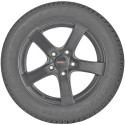 opona samochodowa Dunlop WINTER SPORT 5 w rozmiarze 255/35R19 z indeksem nośności 96 i prędkości W - widok z profilu