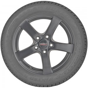 opona samochodowa zimowa Dunlop Winter Sport 5 w rozmiarze 205/50R17 z indeksem nośności 93 i prędkości H