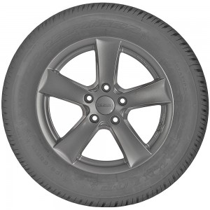 opona do samochodów osobowych Dunlop SP WINTER RESPONSE 2 w rozmiarze 165/65R15 81T - widok z profilu