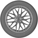 opona 4x4/suv Hankook VENTUS S1 EVO2 SUV K117A w rozmiarze 265/50R19 z indeksem nośności 110 i prędkości Y - widok z profilu